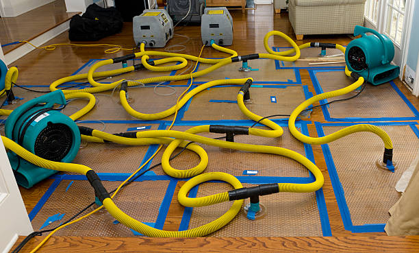 Professional Water Damage Repair technician working in McKittrick, CA