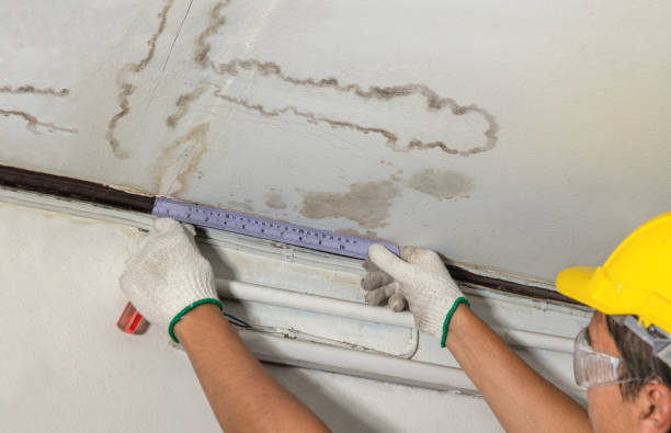 Affordable Water Damage Repair solutions in McKittrick, CA